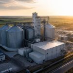 Adm share price forecast for 2026: key drivers and outlook