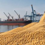 China soybean market trends shaping global trade and innovation